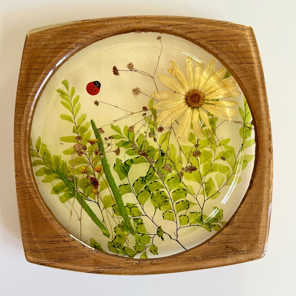 Vintage Lucite Daisy Flower and Ladybug Trivet